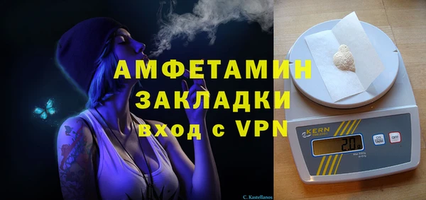 прущие грибы Балахна