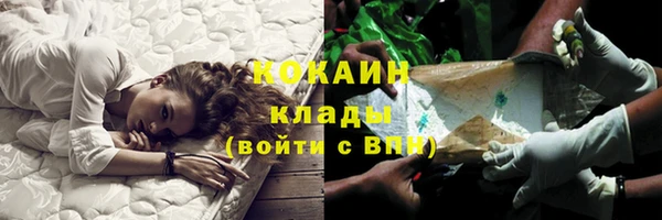 прущие грибы Балахна
