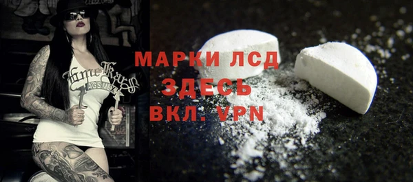 прущие грибы Баксан