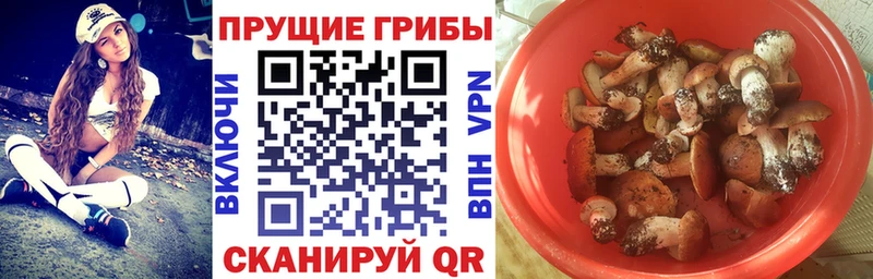 Псилоцибиновые грибы GOLDEN TEACHER  купить закладку  Янаул 